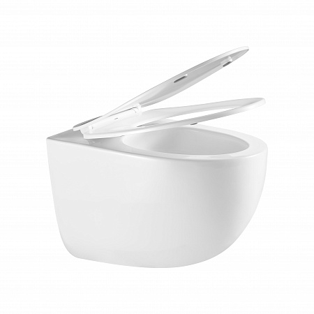 Подвесной унитаз безободковый Terminus Енисей Monolit 560х390 белый Златоуст - фото 7 Подвесной унитаз безободковый Terminus Енисей Monolit 560х390 белый Златоуст - фото 7