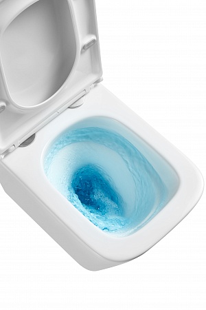 Подвесной унитаз безободковый Terminus Ватикан Monolit 490х340 белый Златоуст - фото 8 Подвесной унитаз безободковый Terminus Ватикан Monolit 490х340 белый Златоуст - фото 8