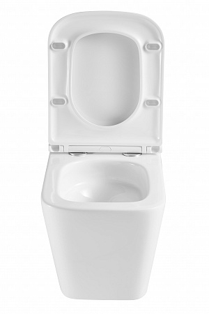 Подвесной унитаз безободковый Terminus Ватикан Monolit 490х340 белый Златоуст - фото 7 Подвесной унитаз безободковый Terminus Ватикан Monolit 490х340 белый Златоуст - фото 7