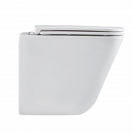 Подвесной унитаз безободковый Terminus Ватикан Monolit 490х340 белый Златоуст - фото 4 Подвесной унитаз безободковый Terminus Ватикан Monolit 490х340 белый Златоуст - фото 4