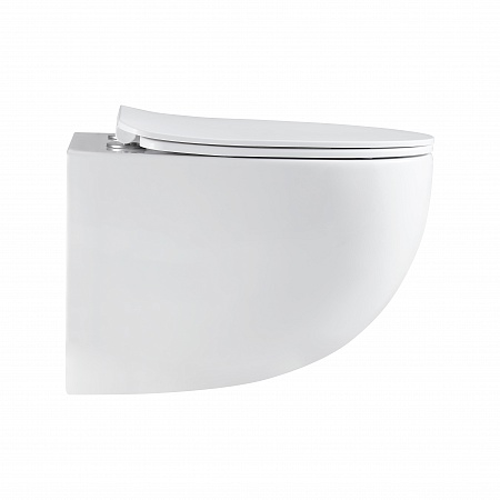 Подвесной унитаз безободковый Terminus Енисей Monolit 560х390 белый Златоуст - фото 4 Подвесной унитаз безободковый Terminus Енисей Monolit 560х390 белый Златоуст - фото 4