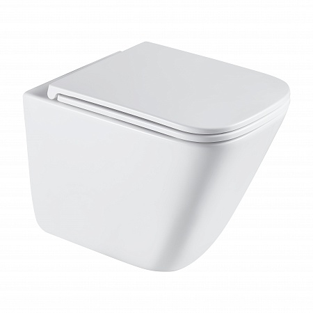 Подвесной унитаз безободковый Terminus Ватикан Monolit 490х340 белый Златоуст - фото 2 Подвесной унитаз безободковый Terminus Ватикан Monolit 490х340 белый Златоуст - фото 2