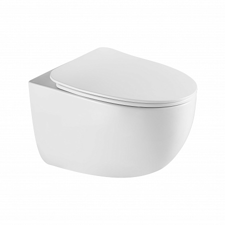 Подвесной унитаз безободковый Terminus Енисей Monolit 560х390 белый Златоуст - фото 2 Подвесной унитаз безободковый Terminus Енисей Monolit 560х390 белый Златоуст - фото 2