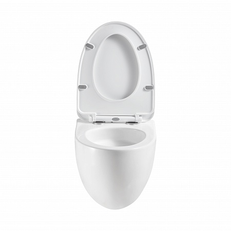 Подвесной унитаз безободковый Terminus Енисей Monolit 560х390 белый Златоуст - фото 5 Подвесной унитаз безободковый Terminus Енисей Monolit 560х390 белый Златоуст - фото 5