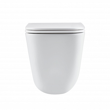 Подвесной унитаз безободковый Terminus Ватикан Monolit 490х340 белый Златоуст - фото 6 Подвесной унитаз безободковый Terminus Ватикан Monolit 490х340 белый Златоуст - фото 6