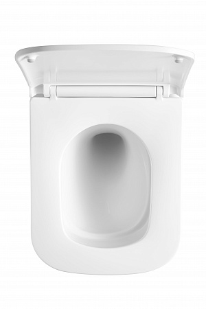 Подвесной унитаз безободковый Terminus Ватикан Monolit 490х340 белый Златоуст - фото 3 Подвесной унитаз безободковый Terminus Ватикан Monolit 490х340 белый Златоуст - фото 3